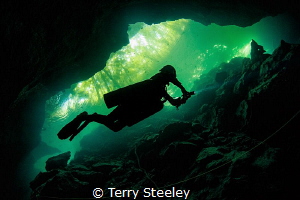 Exploring the green abyss
— Subal underwater housing, Ze... by Terry Steeley 